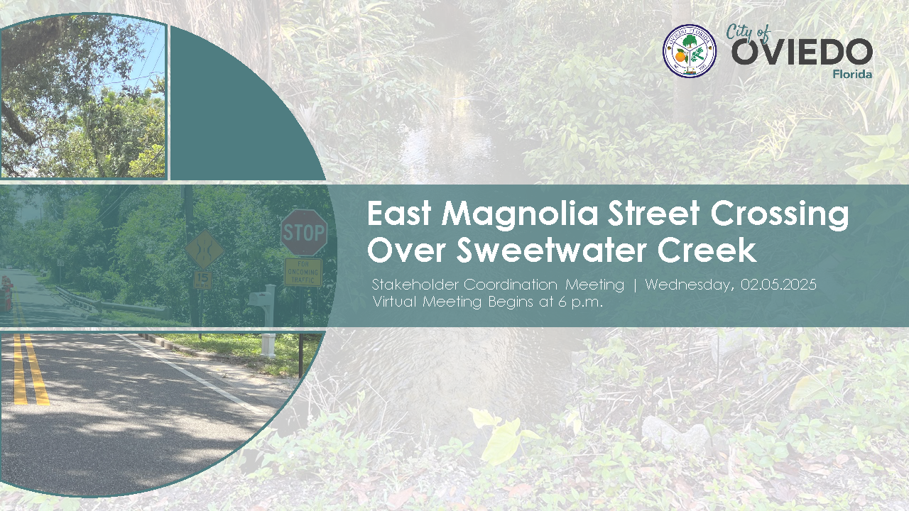 Page 1 East Magnolia Street Crossing Over Sweetwater Creek Stakeholder Meeting