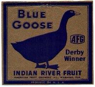 blue goose