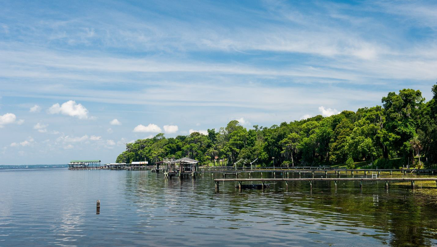 Wetland Near Orangedale