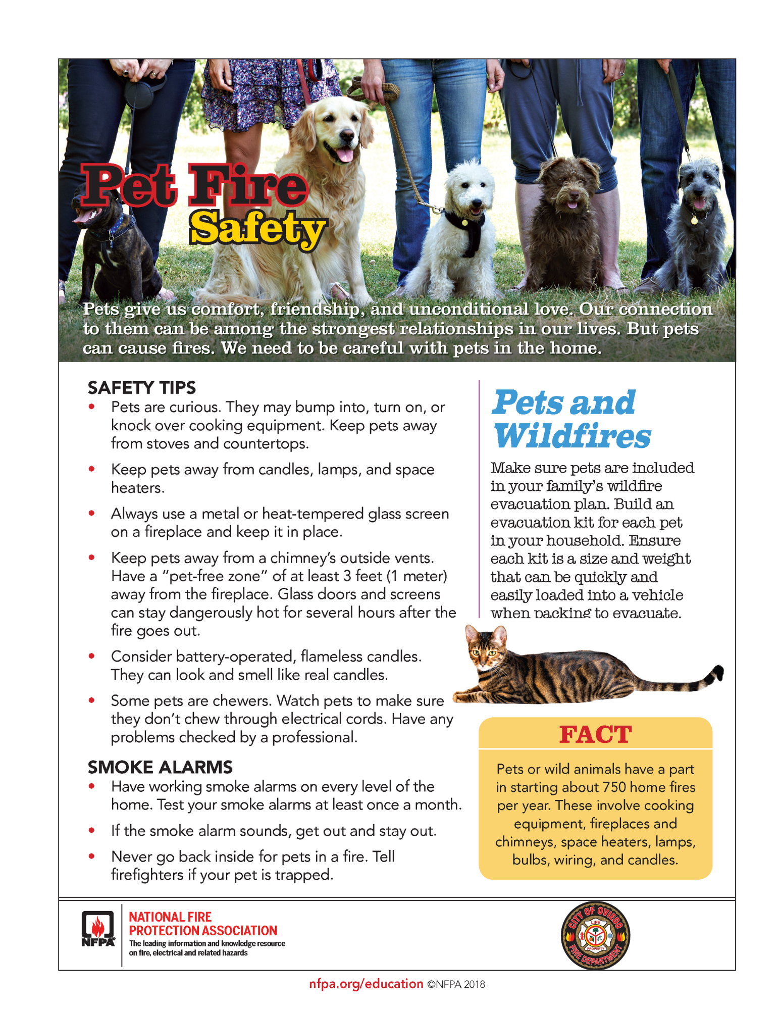 Pet Fire Safety Flyer