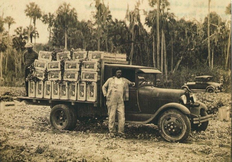 Joe Lee Blue Goose Celery Truck